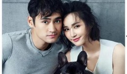 娱乐圈爆料明星绯闻,揭秘明星背后的情感纠葛